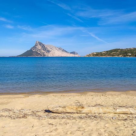 Corbezzoli Villa San Teodoro  Dış mekan fotoğraf